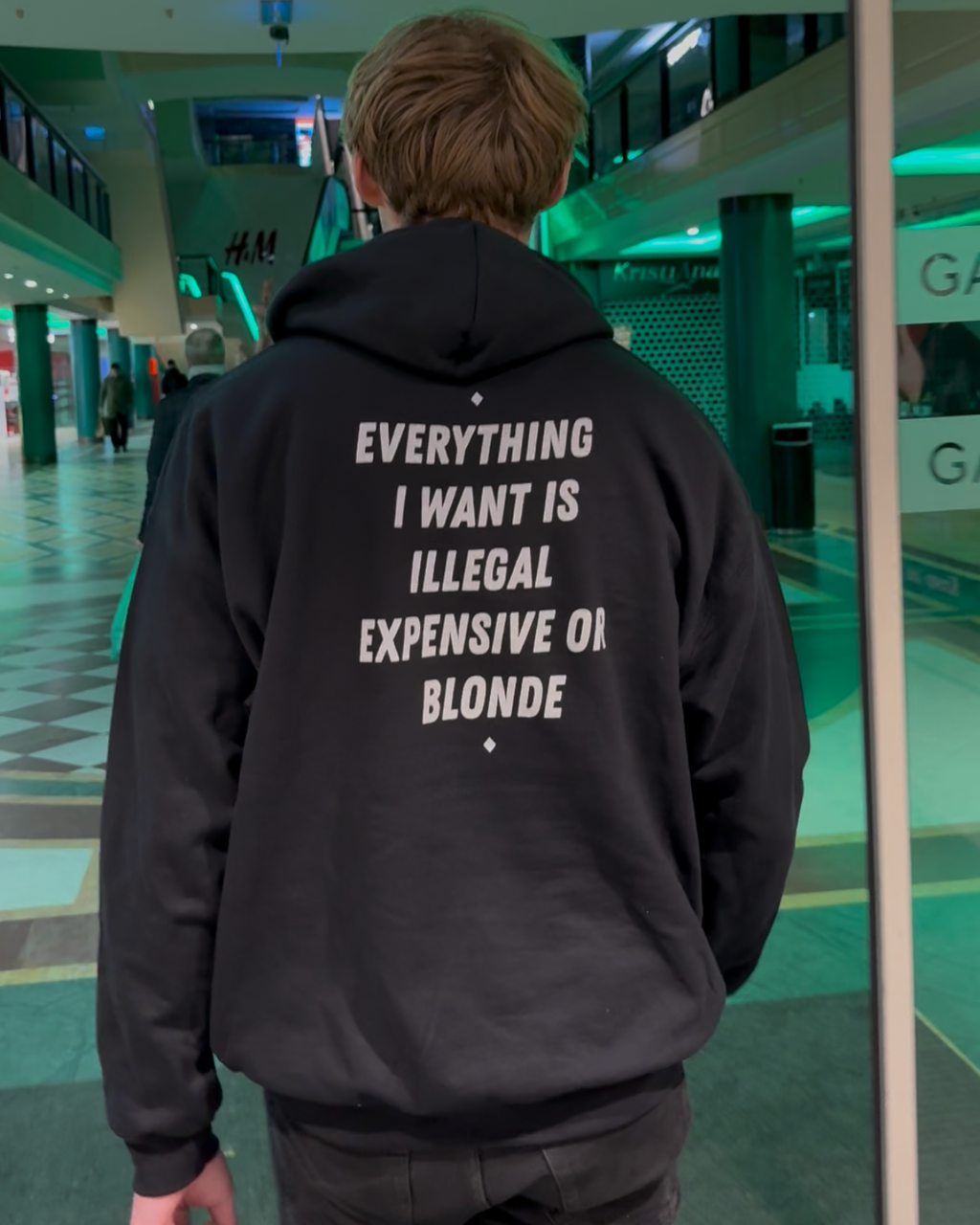 EVERYTHING I WANT IS ILLEGAL, EXPENSIVE OR BLONDE - HOODIE